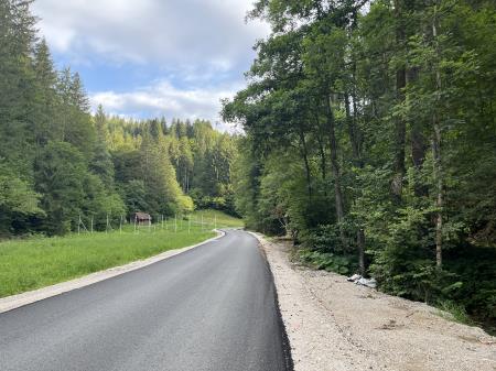 Photo 17. 7. 24, 07 51 10